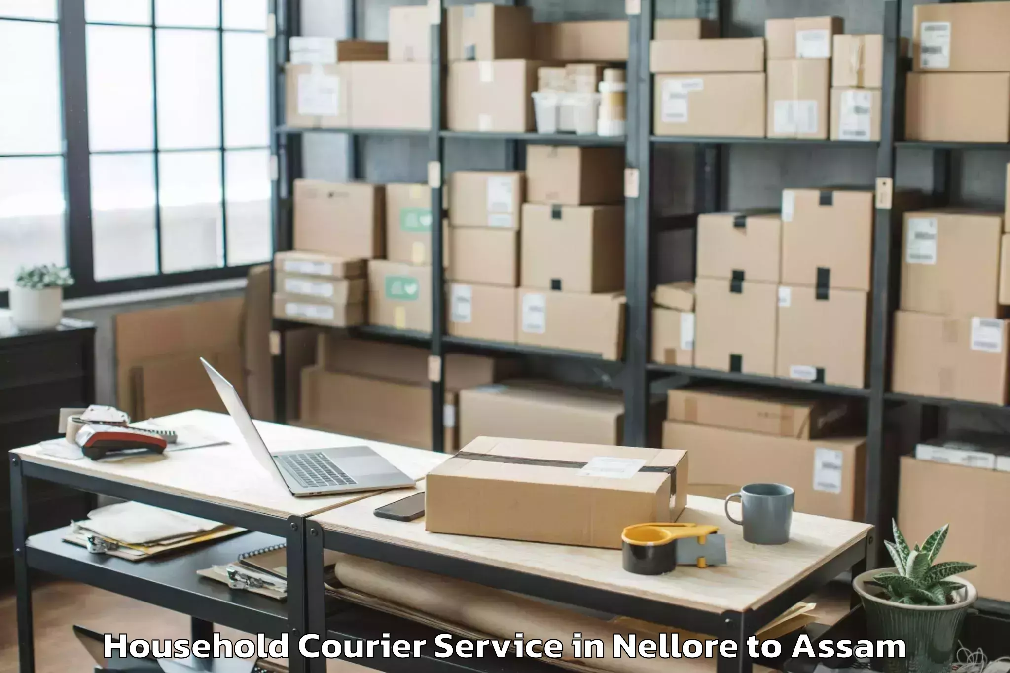 Top Nellore to Nazira Household Courier Available